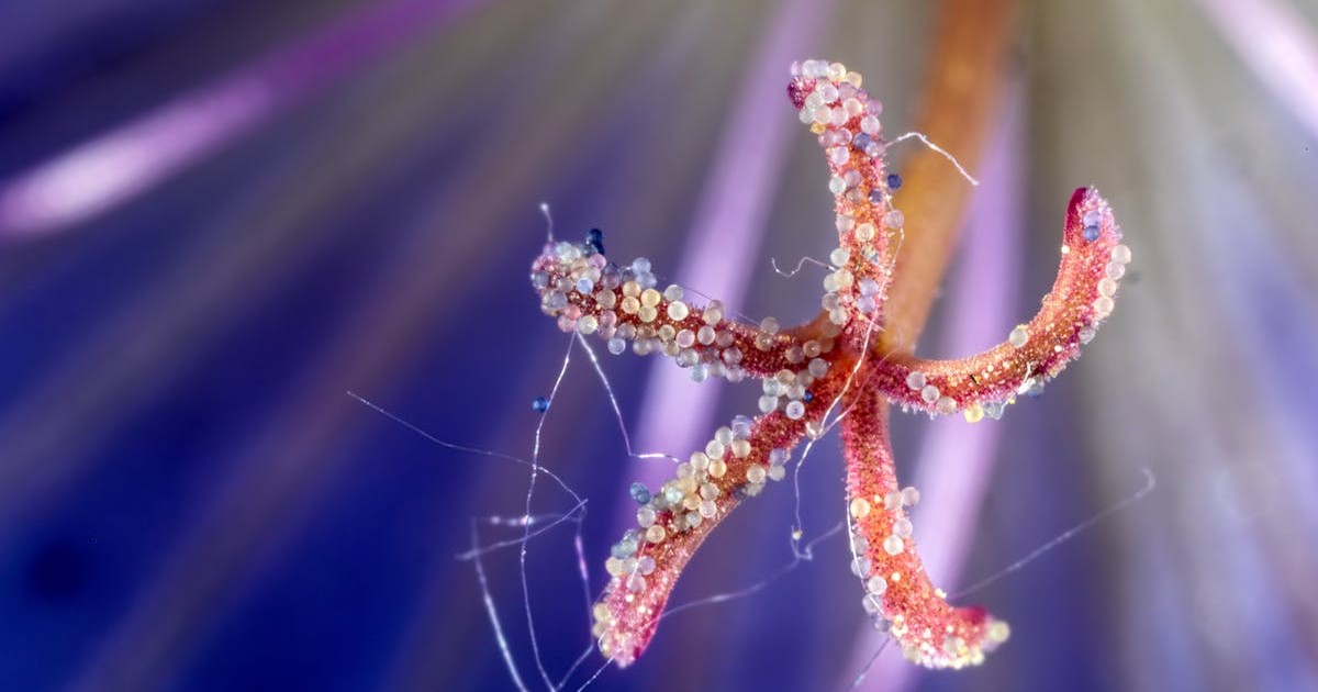 Google口コミ★4.9の評価内容を詳しく分析 イメージ画像