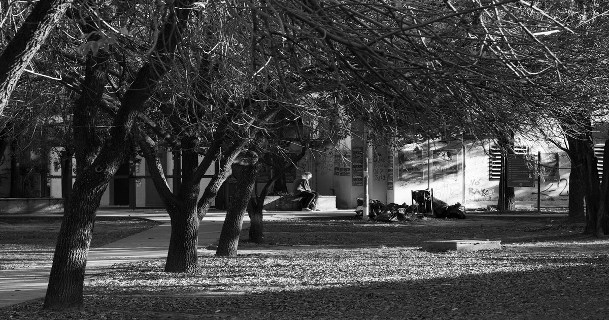 国立大学のSDGs・社会貢献事例 イメージ画像