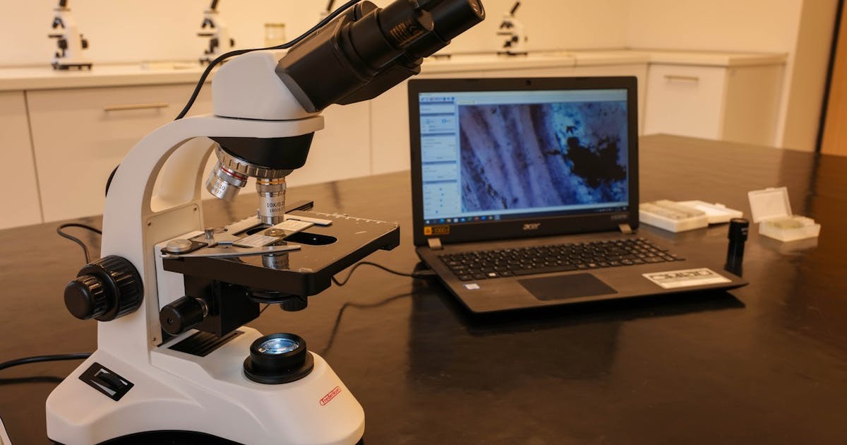 データサイエンス系学部・学科の全体動向【2026年最新】 イメージ画像