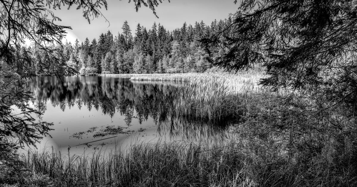 環境音・ホワイトノイズ系のイメージ