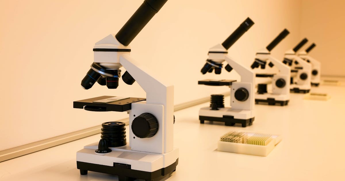 大学院・研究室選びが重要な理由のイメージ