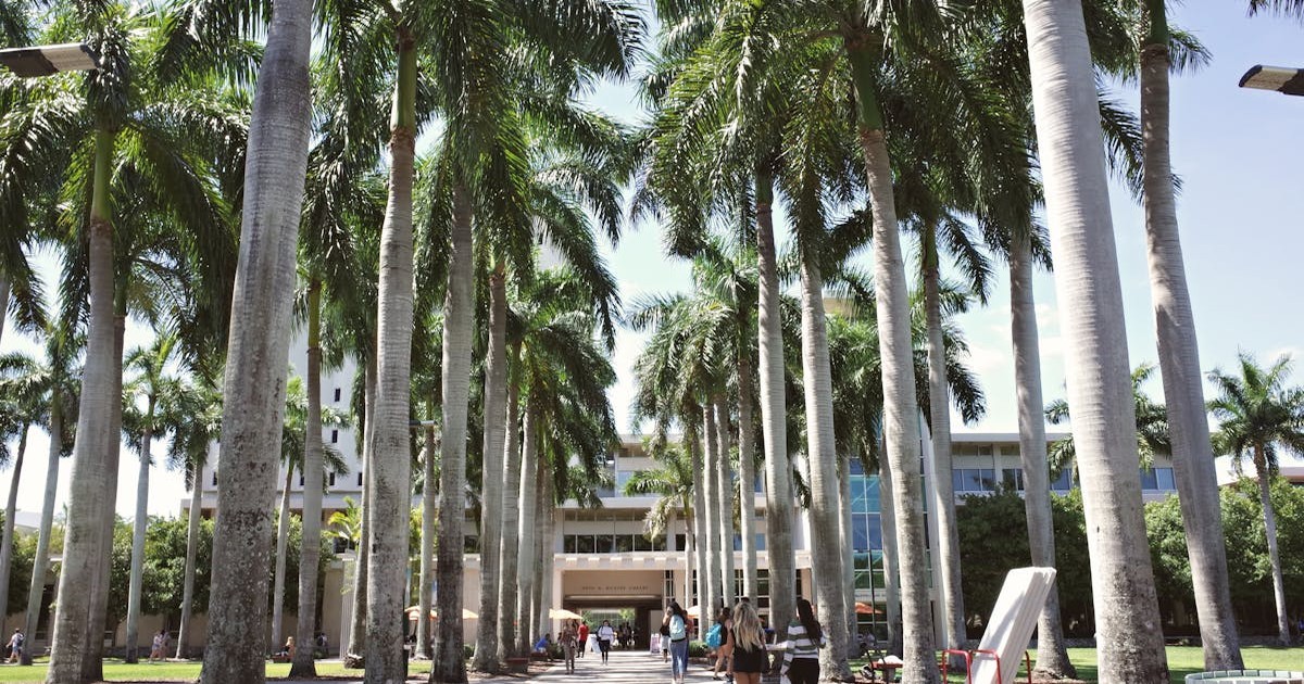 情報収集の具体的な方法のイメージ