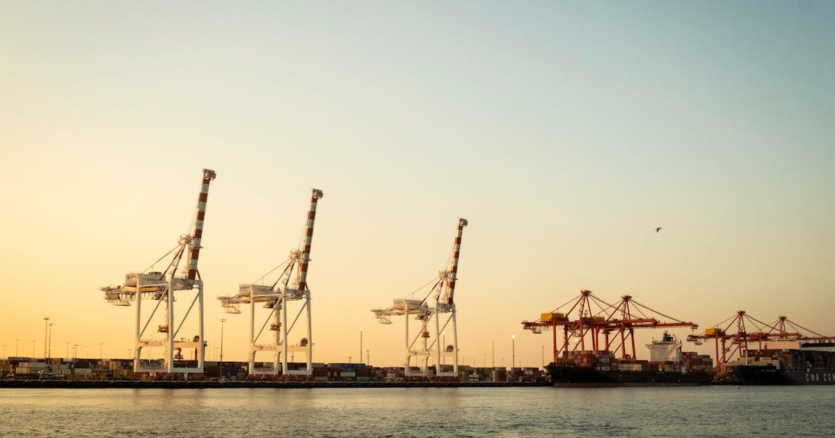 日豪経済関係への中長期的な影響のイメージ