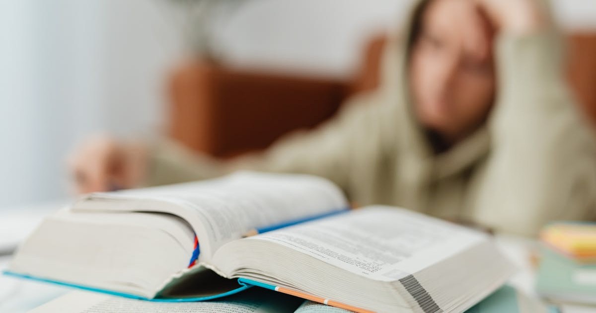 高校2年生：本格的な受験対策スタートのイメージ