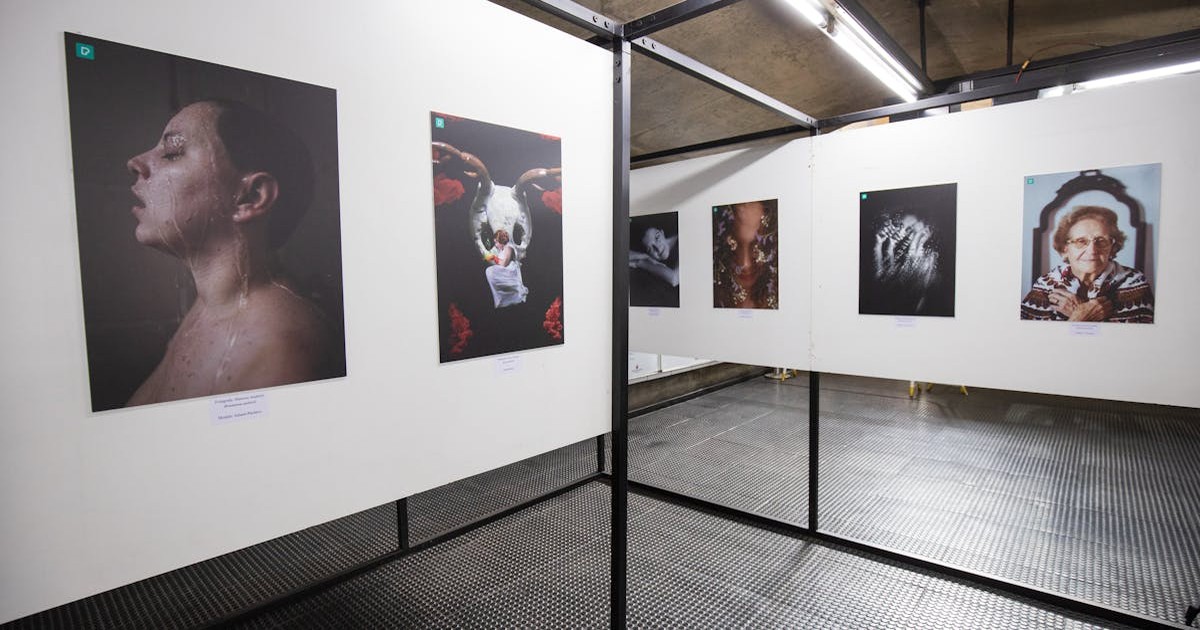 芸術・文化特化型の独自プログラムのイメージ