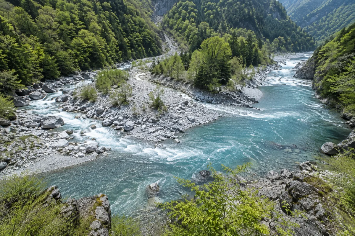 山あいでいくつもの流れが合わさる川