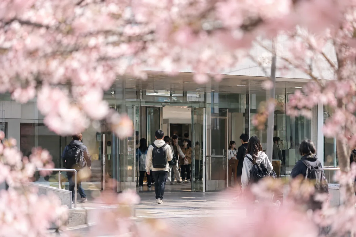 桜の枝ごしに見る講義棟の入口