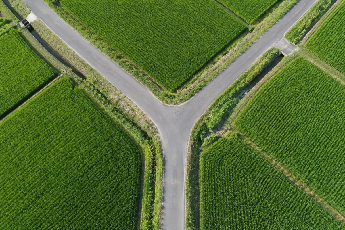 田んぼの間で二手に分かれる農道